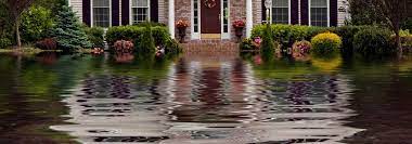 Steps to Take After a Water Damage Incident