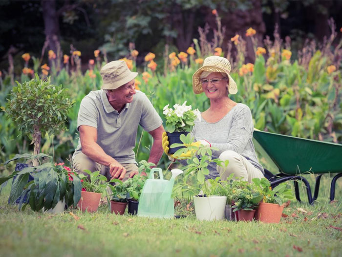 Home Gardening in the New Normal: Fostering Overall Wellness