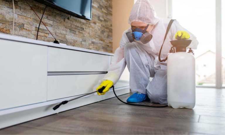 How to Make Your Product Stand Out With Furniture Pest Control?