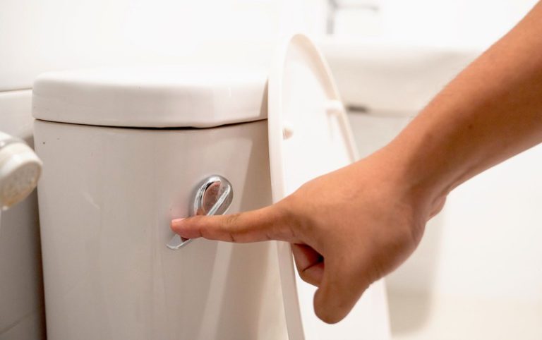 To Flush or Not to Flush: A Guide to Proper Toilet Etiquette