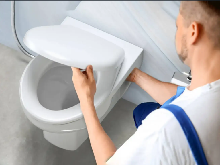 Tips for Choosing the Right Toilet for Your Home