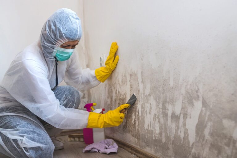 Achieve a Mold-Free Home with Expert Mold Removal in Hartland