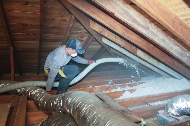 How to Prevent Pests in the Attic