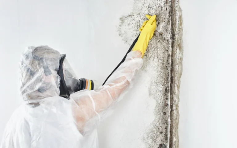 Just Finished Mold Remediation? Read This Before You Turn Your HVAC Back On