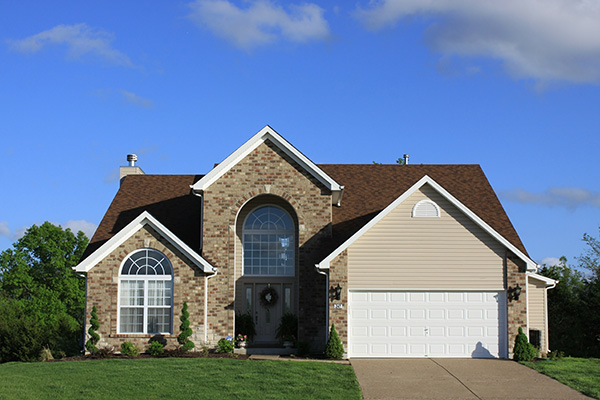 Custom Pest Control Solutions for Chesterfield’s Homes