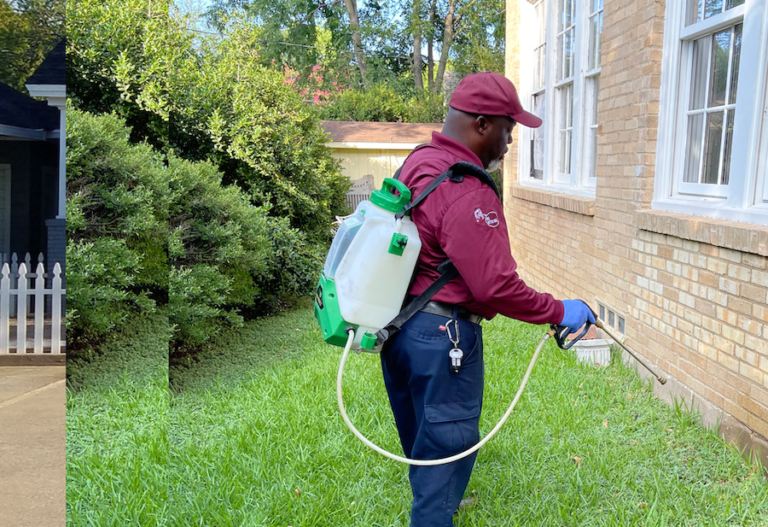 A Pest Control Blueprint for Frisco’s Residential and Commercial Spaces