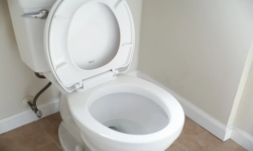 Warning Signs Your Toilet Needs Professional Repair In Houston
