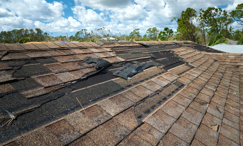 7 Ways Louisiana Humidity Wears Down a Roof